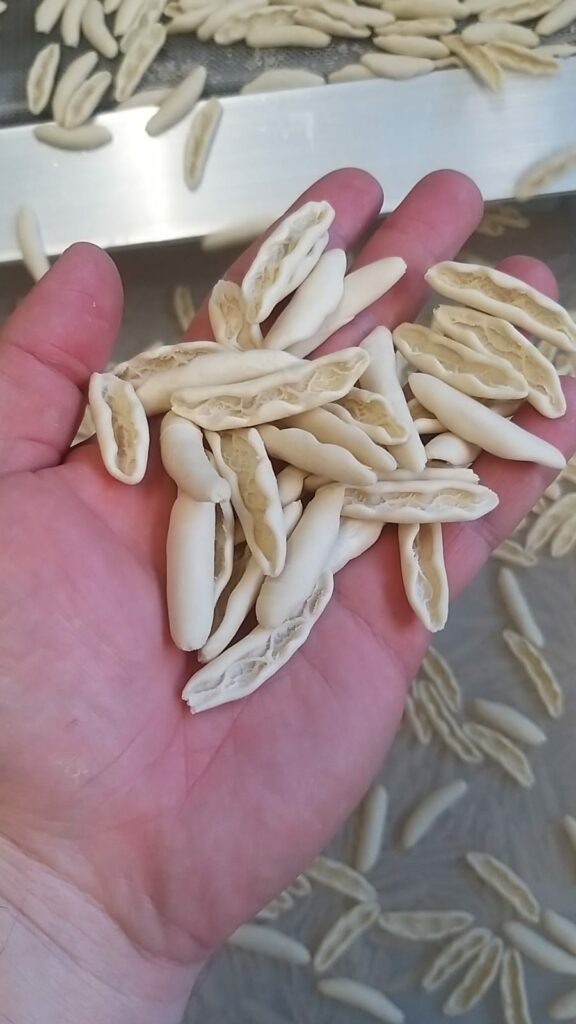 pasta di stigliano